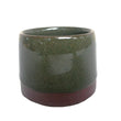 VASETTO PIANTINA SALVIA diam 7,5 cm HUBEQ7380624 Equomercato