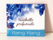 Sacchetto profumato Ylang Ylang cod:7323003