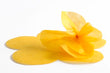 Silk paper fustellata a fiore 40039587 Altromercato*