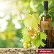 ARIDDU GRILLO SICILIA DOC VINO BIANCO - BIO | 750 ml